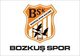 BOZKUŞ STADSPOR U14 logo