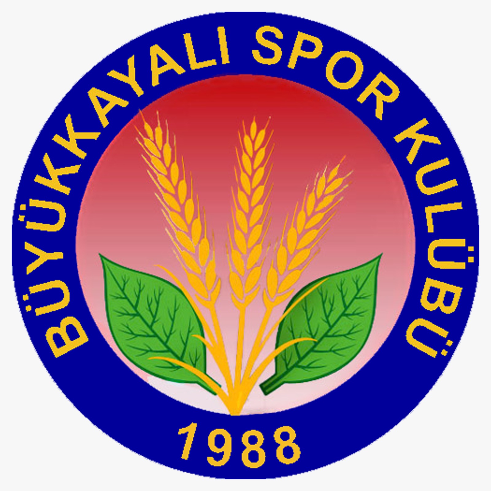 BÜYÜK KAYALI SPOR U11